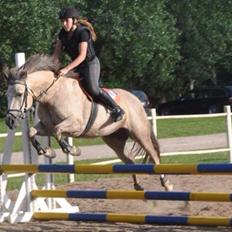 Connemara Moneyveen Smokie