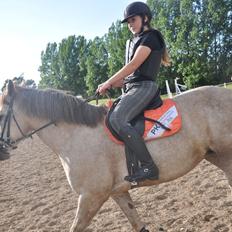 Connemara Moneyveen Smokie