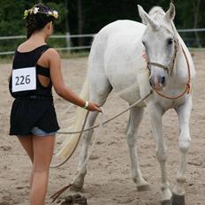 Anden særlig race Baunty (Pony) 