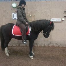 Islænder Kjartan fra Bilsebjerg