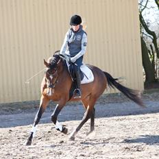 Oldenborg Sørålunds Nanto