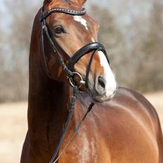 Oldenborg Sørålunds Nanto