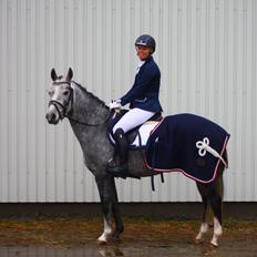 New Forest Egeballes Suzuki.