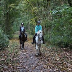 Anden særlig race Højgårds Magic Star