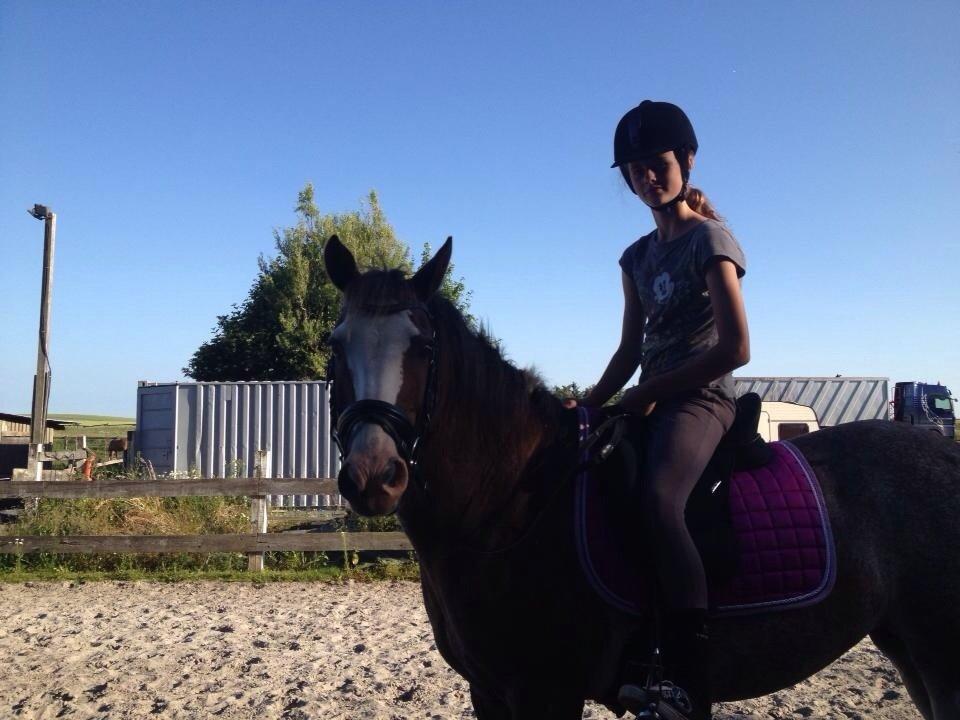 Anden særlig race Solvanggaards Snoopy billede 15