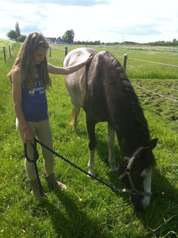Anden særlig race Solvanggaards Snoopy billede 25