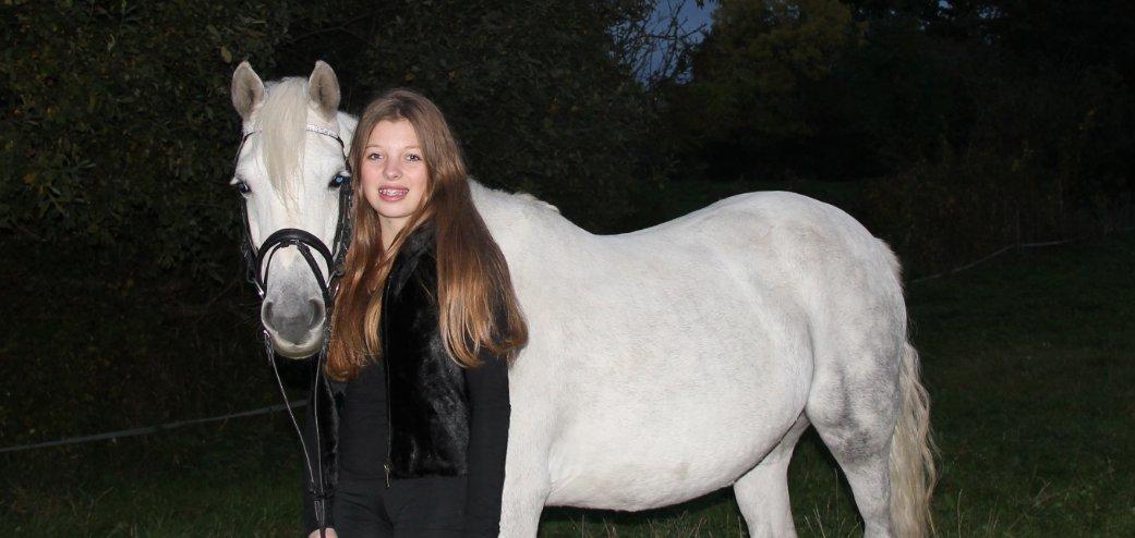 Welsh Partbred (Sec F) Klintholms Miss Shania billede 17