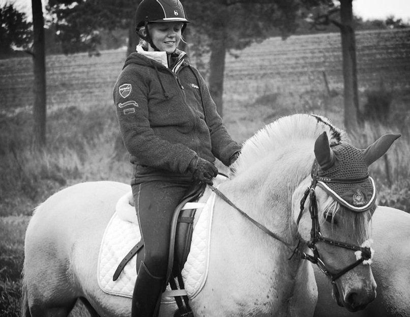 Fjordhest Broholms Marquis billede 20