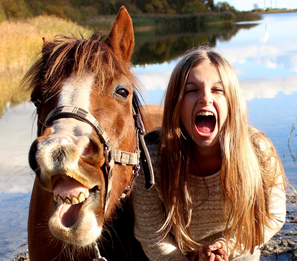 Anden særlig race Ponyen Pixie billede 11