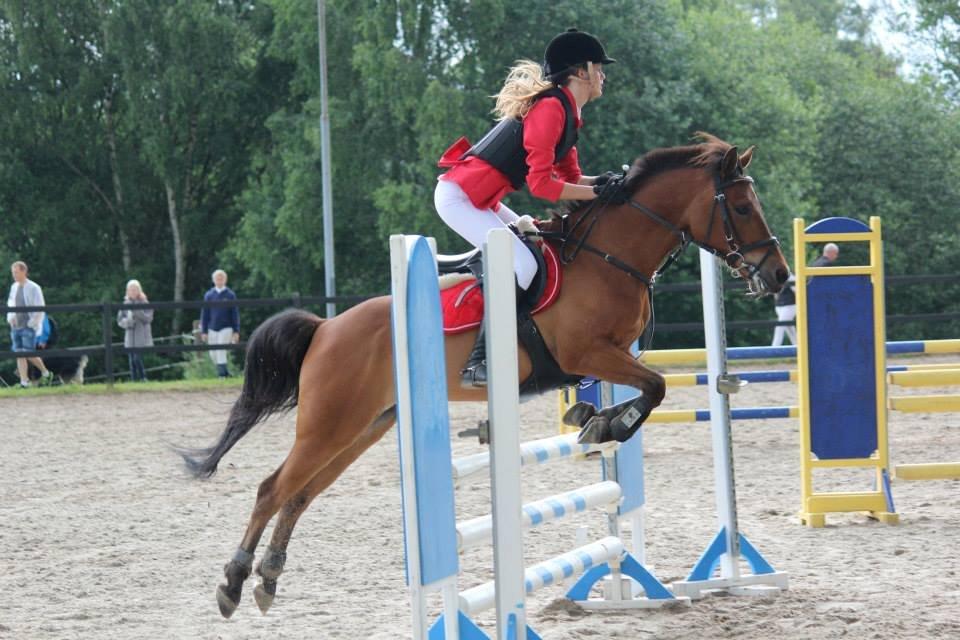 Anden særlig race PRINS KASHMIR  - 22/6-2013 Ballerup, LA* billede 11