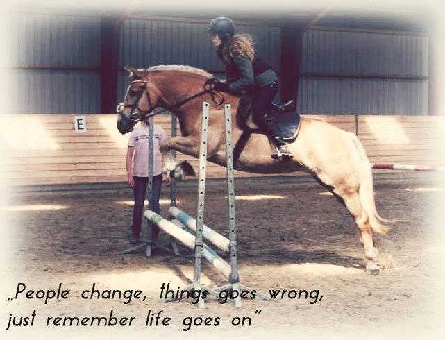 Haflinger sunshine *my soulmate*<3 billede 3