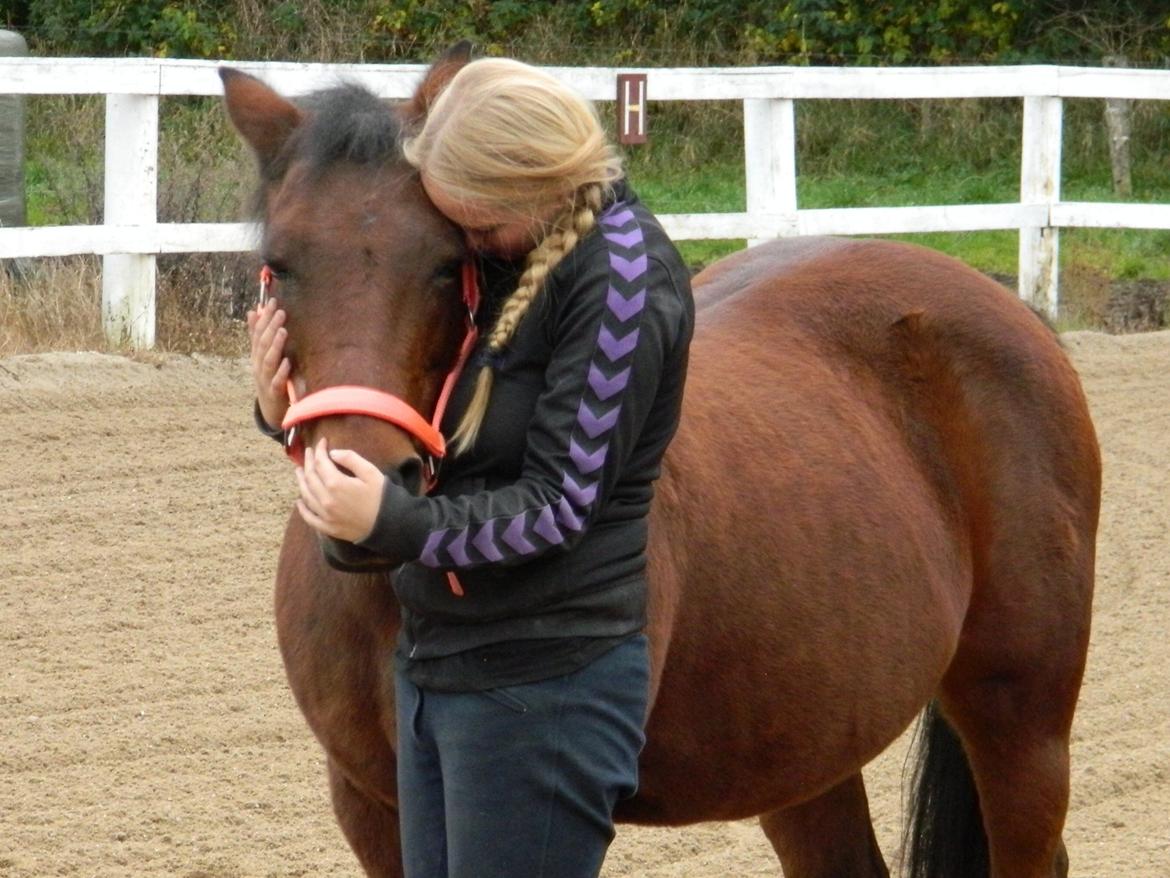 New Forest Cayenne  - Du min bedste ven<3 du betyder alt<3 snart 5 måneder. de bedste 5 måneder med dig <3
Jeg elsker dig<3 billede 8