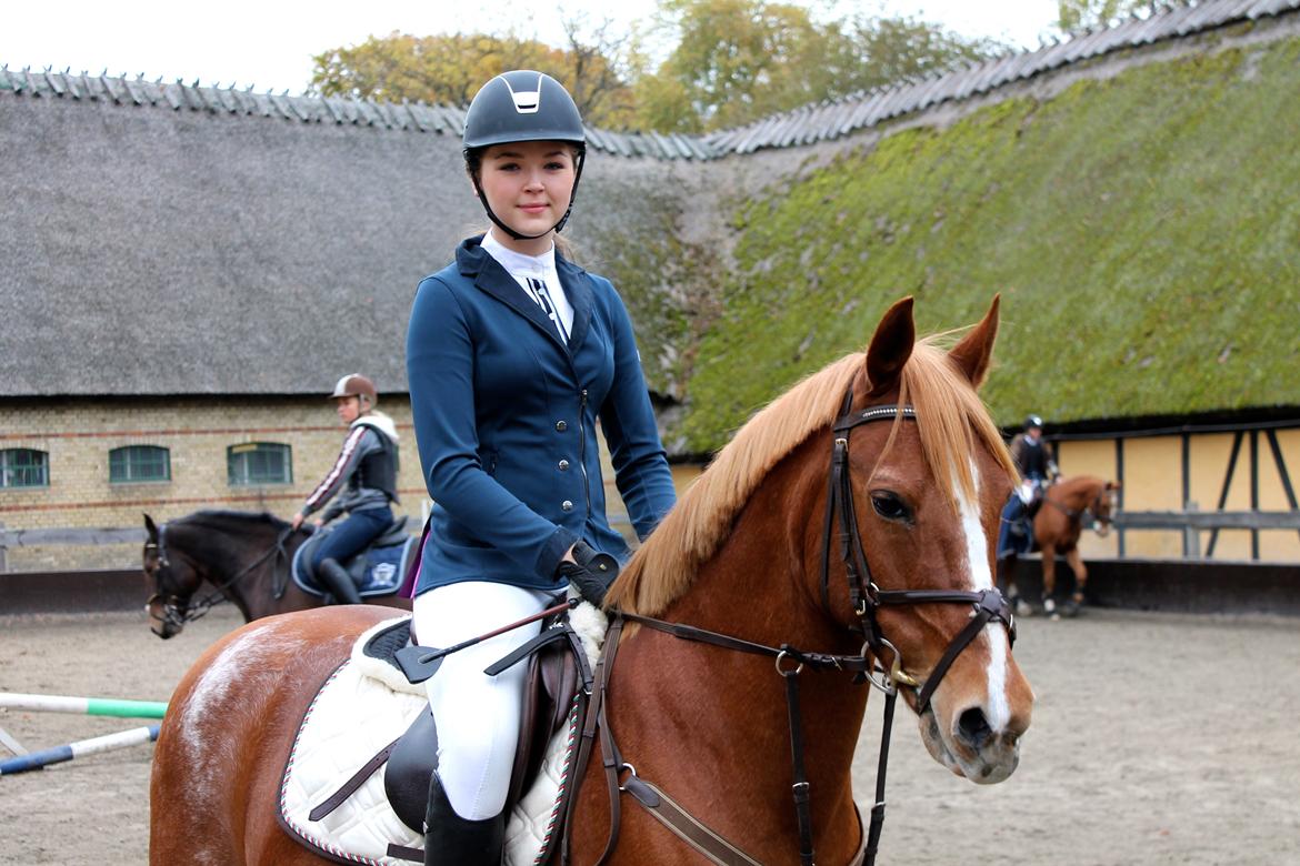 DSP Lintrupgaard Cavito - Første stævne sammen, hvor vi var fejlfrie i begge runder <3  billede 1