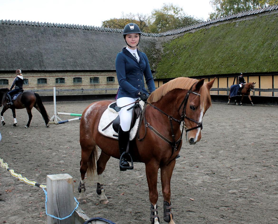 DSP Lintrupgaard Cavito - Første stævne sammen billede 9