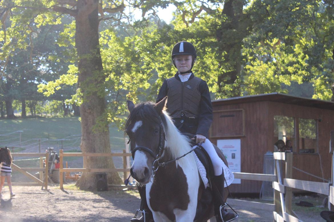 Anden særlig race Jack (savnet) - Min baby, savner ham så meget!  billede 2