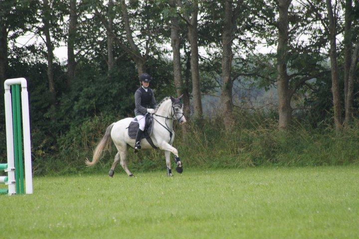 Welsh Pony (sec B) Jason - TNKR 2011  billede 16