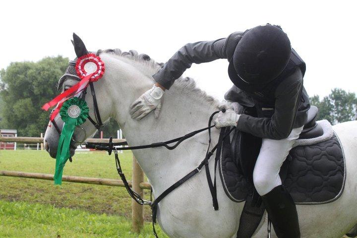 Welsh Pony (sec B) Jason - TNKR 2011, så dygtig en pony 
 billede 17