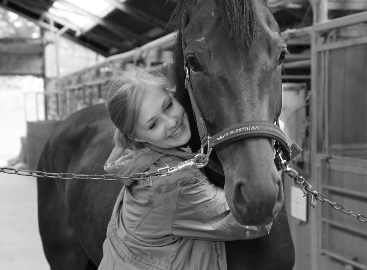 Dansk Varmblod Gørklintgårds Gaia billede 12