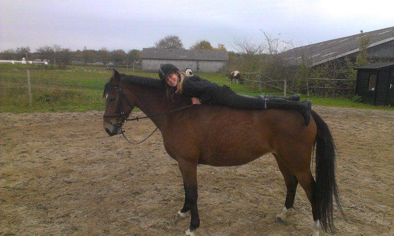 Anden særlig race Lotte mit et og alt<3 - ligger på den sødeste hest i verden billede 11