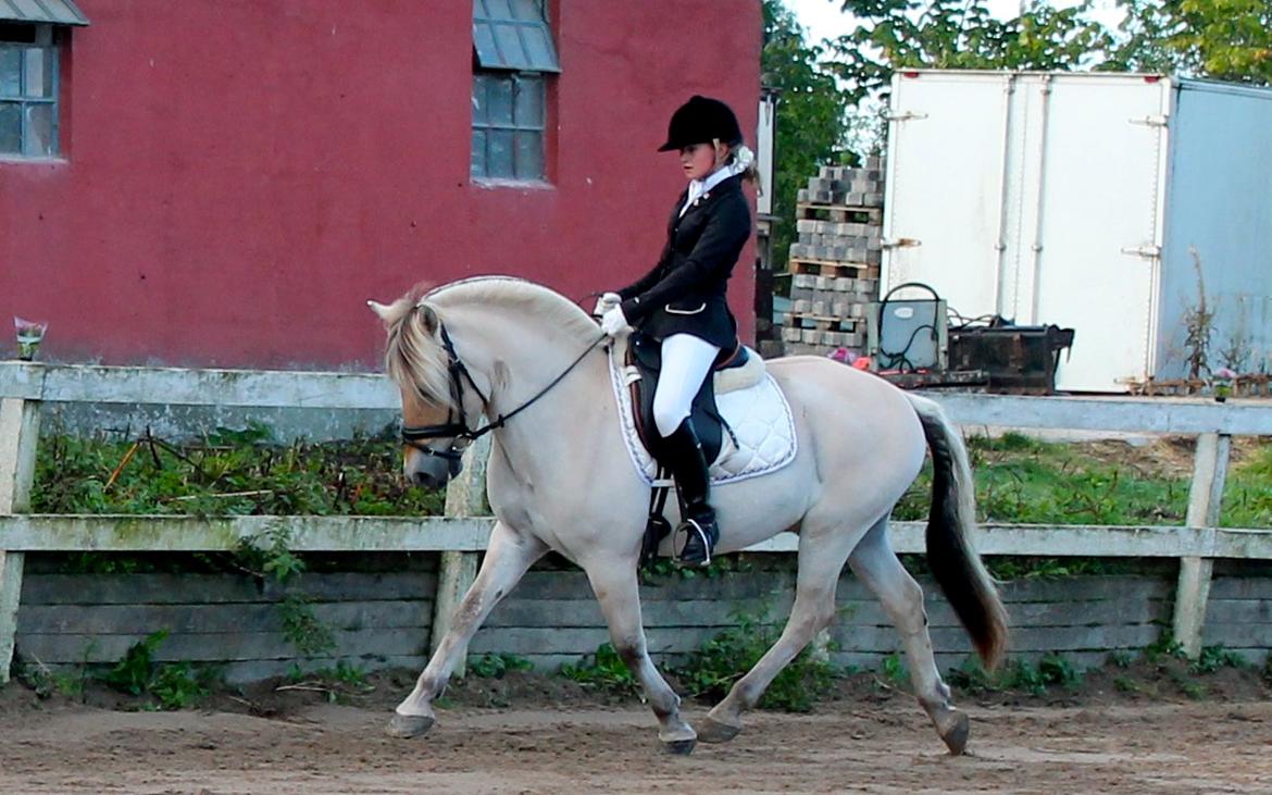 Fjordhest Atlet Bjergby - Kellerup Rideklub - september, 2013
LC1 - 71,? - 1. plads
LC1 - 71? - 1. plads billede 24