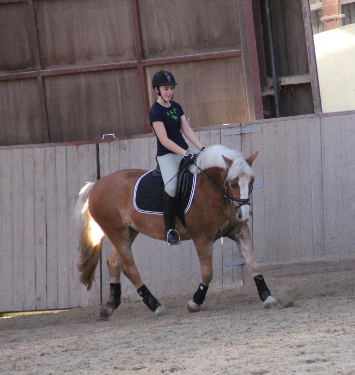Haflinger Studgårdens Sally <3<3 - 19] Sally og jeg til dressur træning <3 Dato: 19.10 2013 Foto: Anna M. billede 19