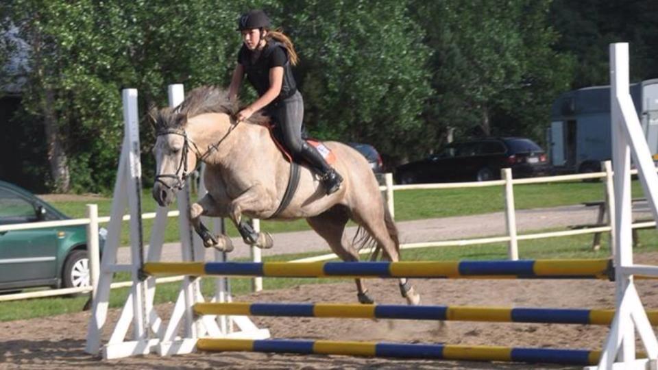 Connemara Moneyveen Smokie billede 2