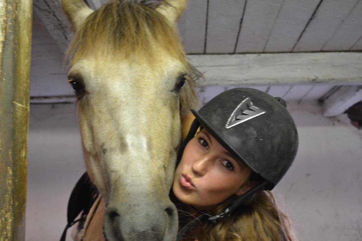 Connemara Moneyveen Smokie billede 4