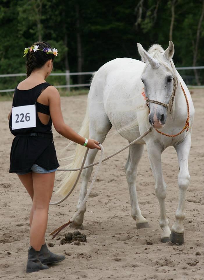 Anden særlig race Baunty (Pony)  - DHE-Træf 2013
Opvarmning til agility^^ billede 3