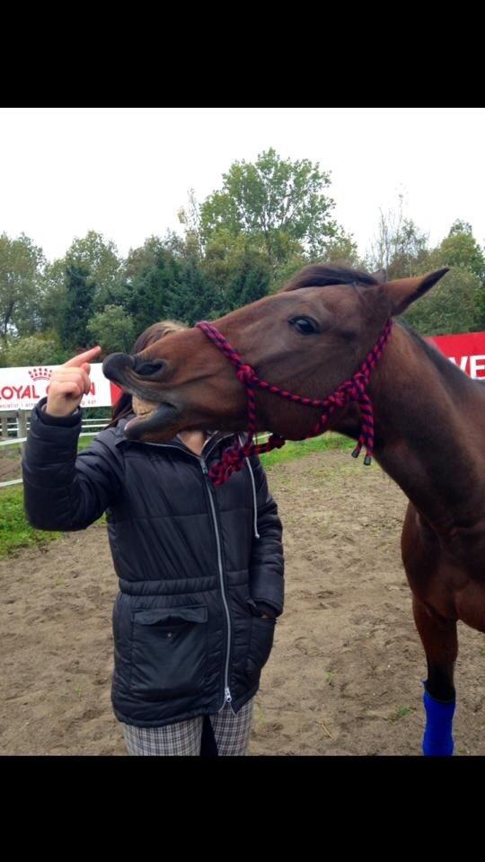 Traver Ofero Langdel *Øffe* - 5) Han har lært at smile på kommando billede 5