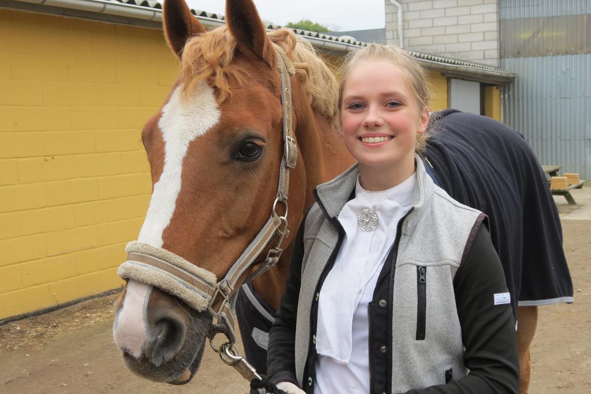 DSP Flika B-pony billede 9