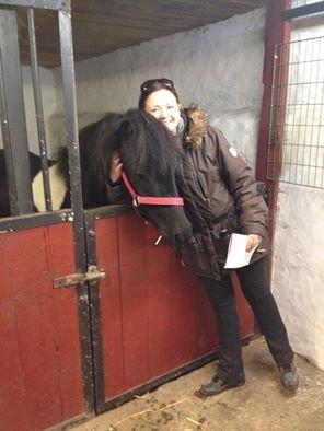 Islænder Kjartan fra Bilsebjerg billede 4