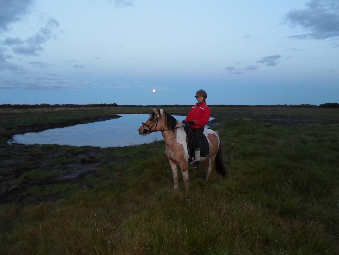 Anden særlig race Alexandra <33 - Din skønne tøs!! <33 billede 14