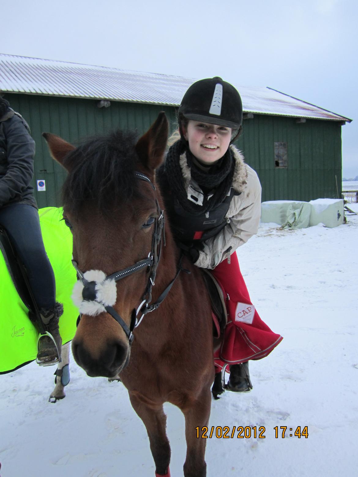 Anden særlig race Canessa billede 18