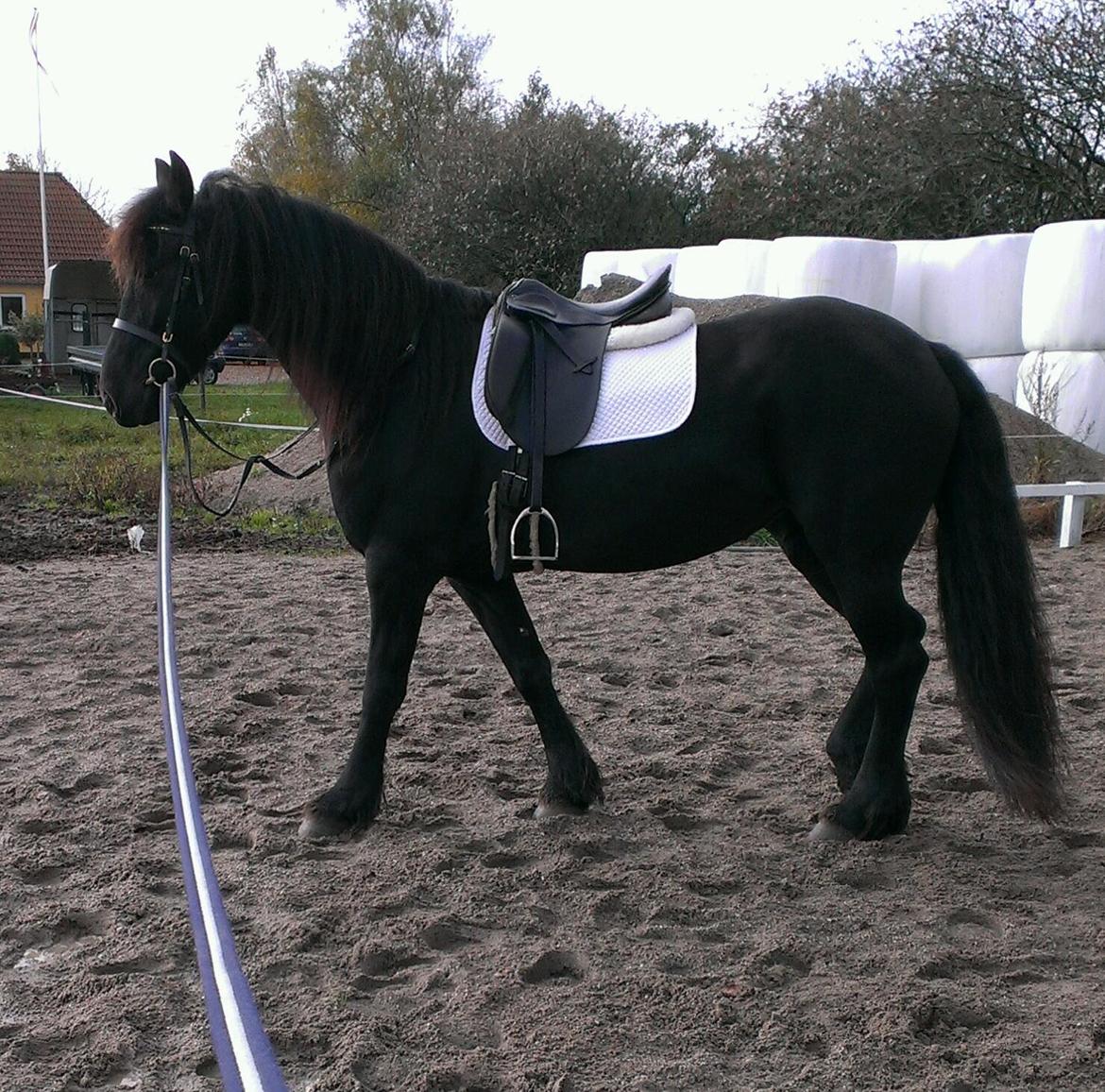 Frieser Doutzen . billede 8