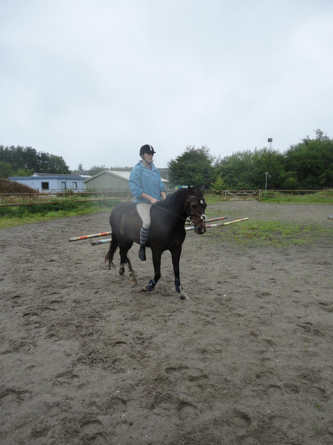 Hollandsk Sportspony Mistery Girl - Mere ridning i regnen billede 18