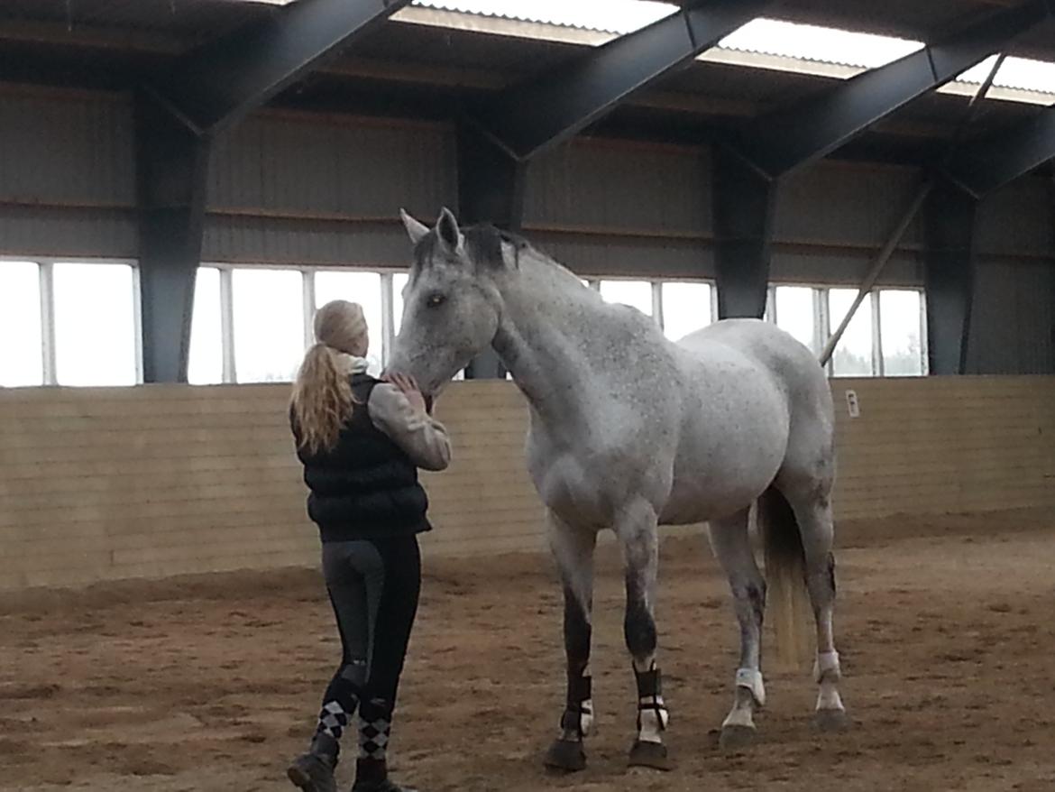 Dansk Varmblod Carneval Fever - lidt hygge i ridehuset billede 2