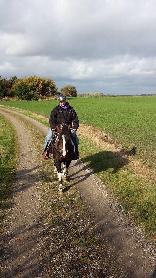 Paint San cutter cash billede 7