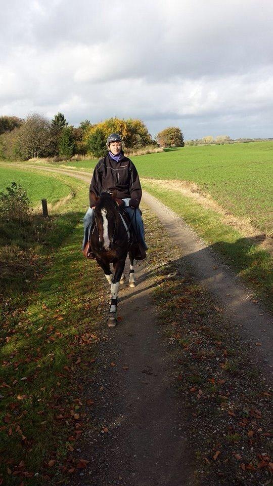 Paint San cutter cash billede 8