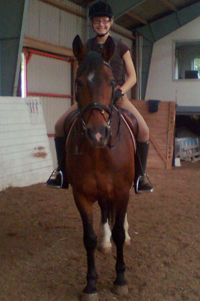 Dansk Varmblod Isabell [min part] billede 9