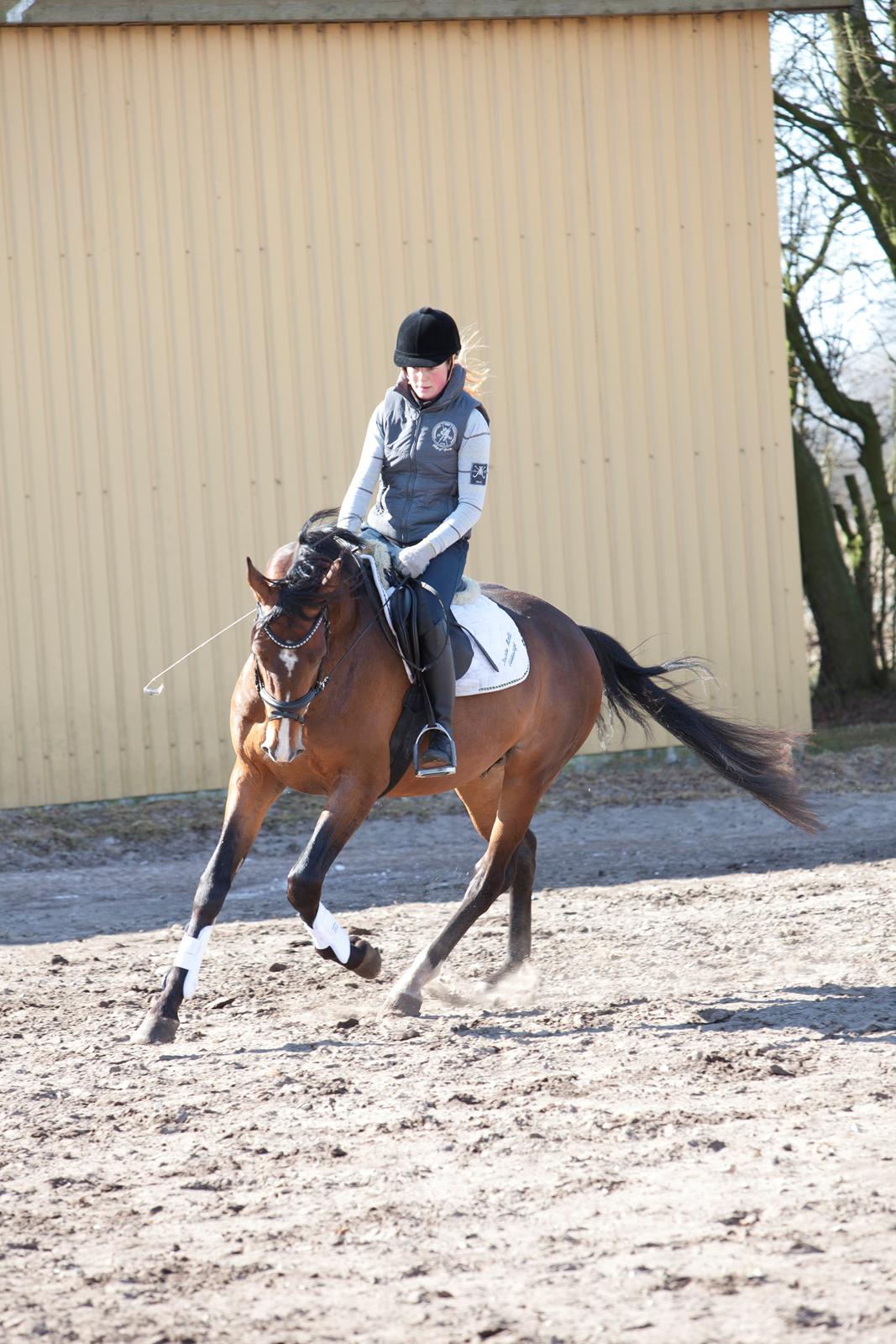 Oldenborg Sørålunds Nanto billede 2