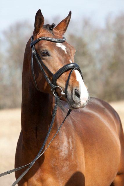 Oldenborg Sørålunds Nanto billede 1