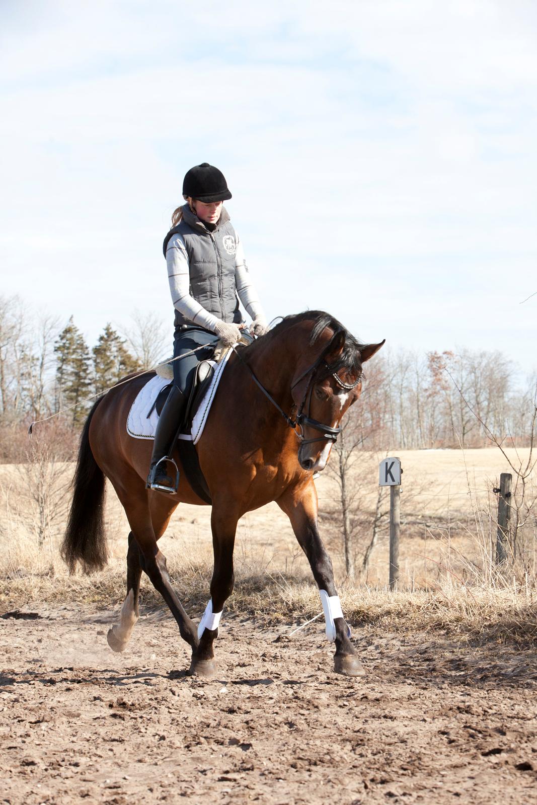 Oldenborg Sørålunds Nanto billede 5