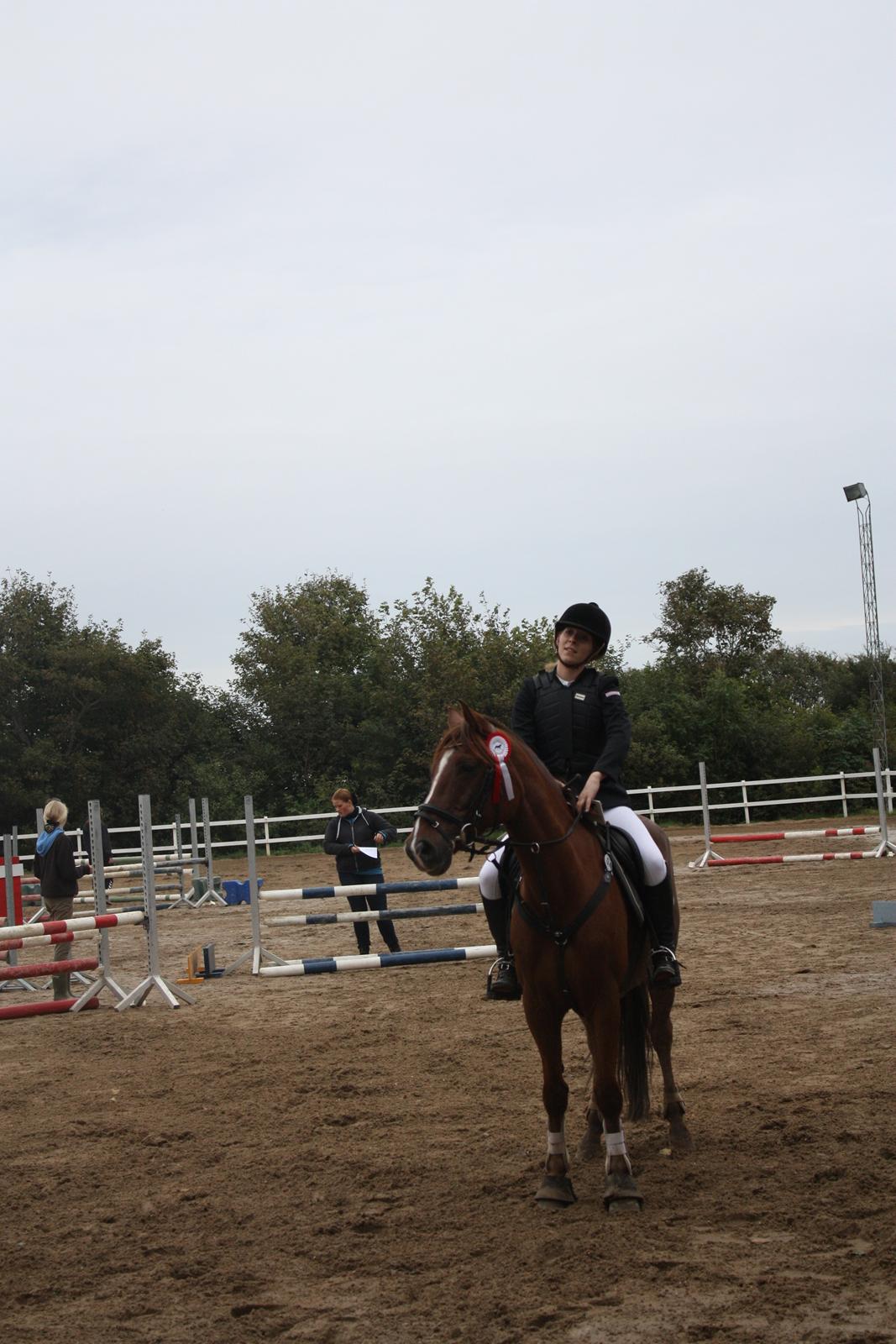 Anden særlig race Sir Ivanhoe - Næstildgård sportsrideklub LE
#1 plads i tiden 32,6 sek billede 2