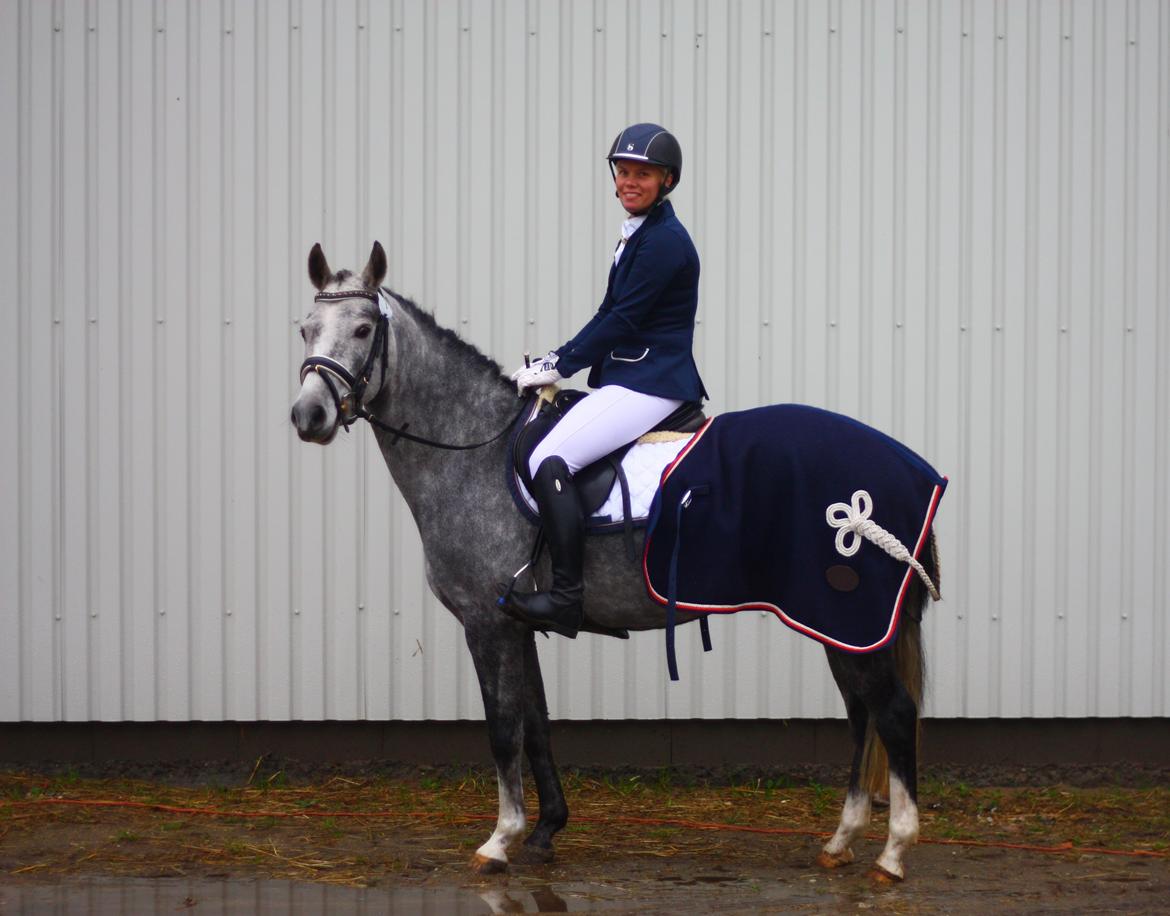 New Forest Egeballes Suzuki. billede 1