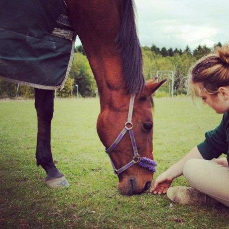 Anden særlig race Allgrea billede 1