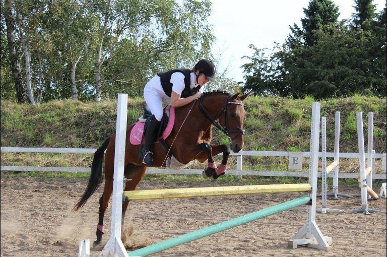 Anden særlig race Allgrea billede 2