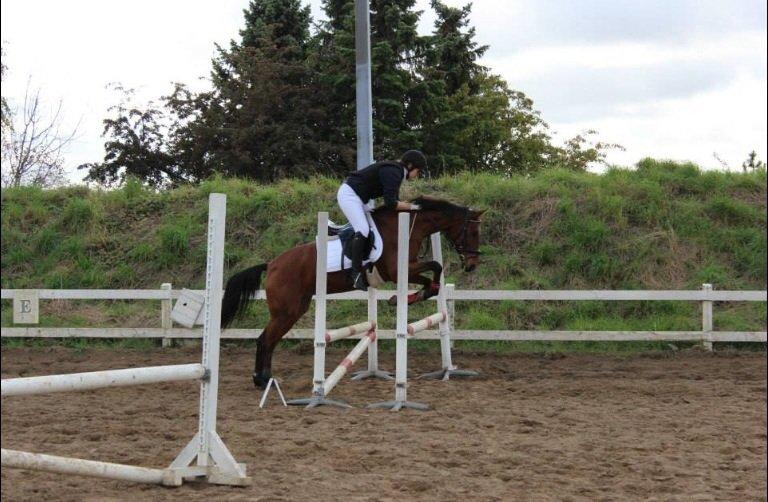 Anden særlig race Allgrea billede 5