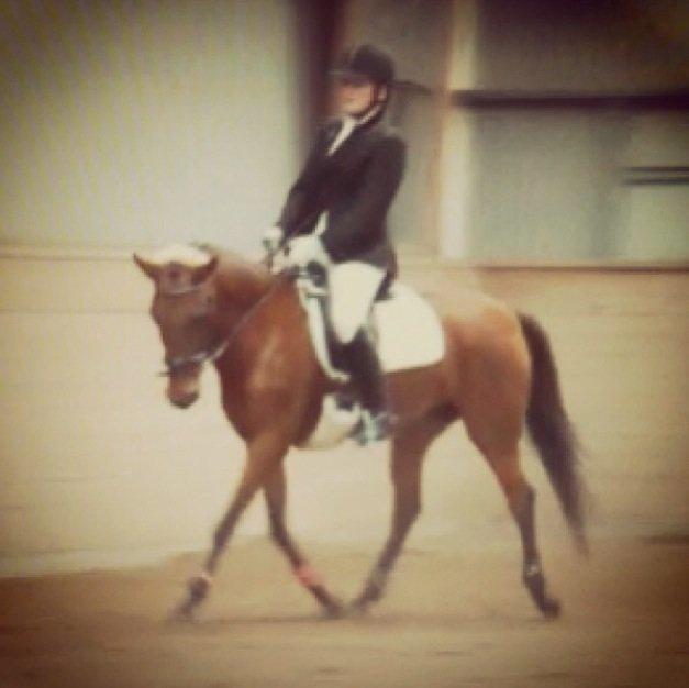 Anden særlig race Allgrea billede 8