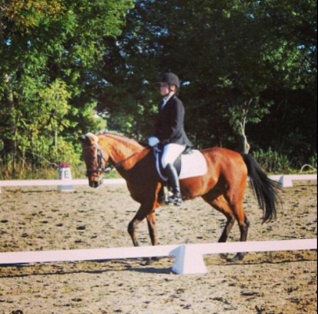 Anden særlig race Allgrea billede 9