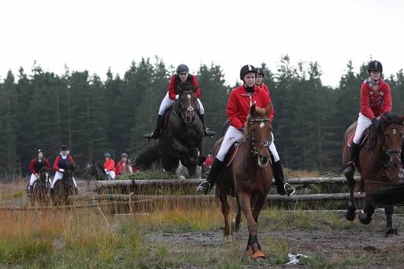 Anden særlig race Herkules Proud billede 24